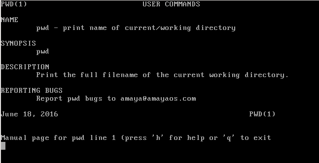 AmayaOS Man